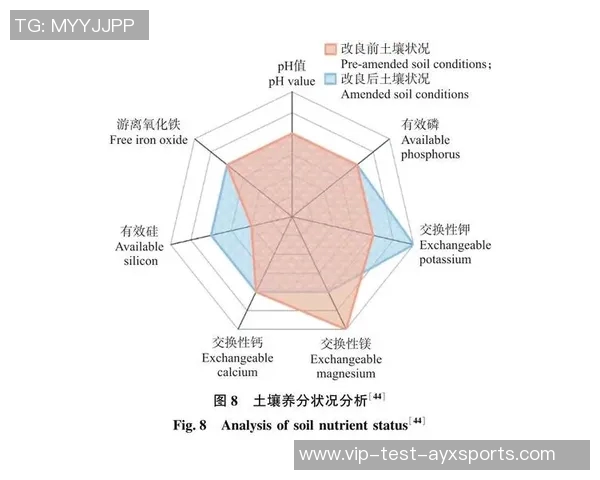 2021欧洲杯在疫情影响下能否如期举行的深度分析与展望
